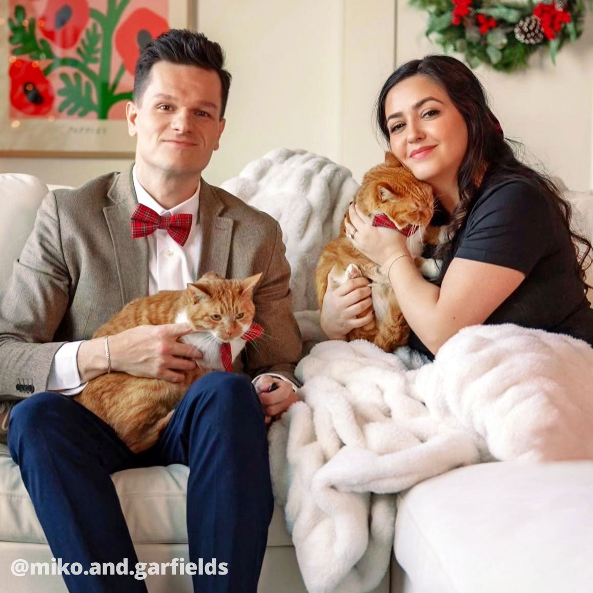 Pet Bow Tie (REGULAR SIZE) - "Hearthside" - Classic Red Holiday Tartan Plaid | Christmas, Holidays & Wedding Bow Tie | For Adult Cat + Small Dog