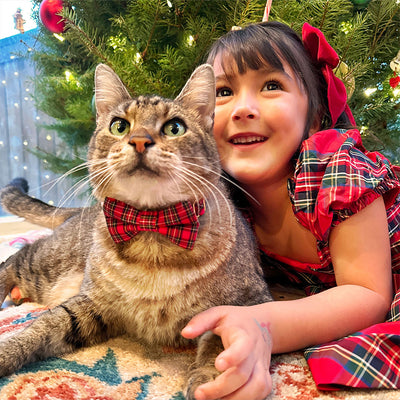 Pet Bow Tie (REGULAR SIZE) - "Hearthside" - Classic Red Holiday Tartan Plaid | Christmas, Holidays & Wedding Bow Tie | For Adult Cat + Small Dog