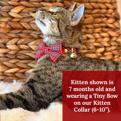 Pet Bow Tie (TINY SIZE) - "Hearthside" - Classic Red Holiday Tartan Plaid | Christmas, Holidays & Wedding Bow Tie | For Kitten + Tiny Dog