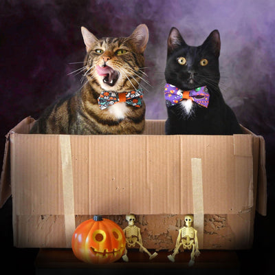 Halloween Pet Bow Tie - "Here for the Boos" - Ghosts, Pumpkins & Skulls Bowtie / For Cats + Small Dogs / Removable (One Size)