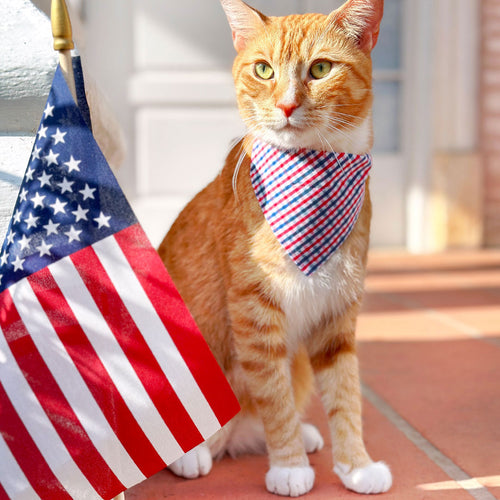 Pet Bandana - "Heritage" - Gingham Red White & Blue Plaid Bandana for Cat + Small Dog / Patriotic, Independence Day / Slide-on Bandana / Over-the-Collar (One Size)