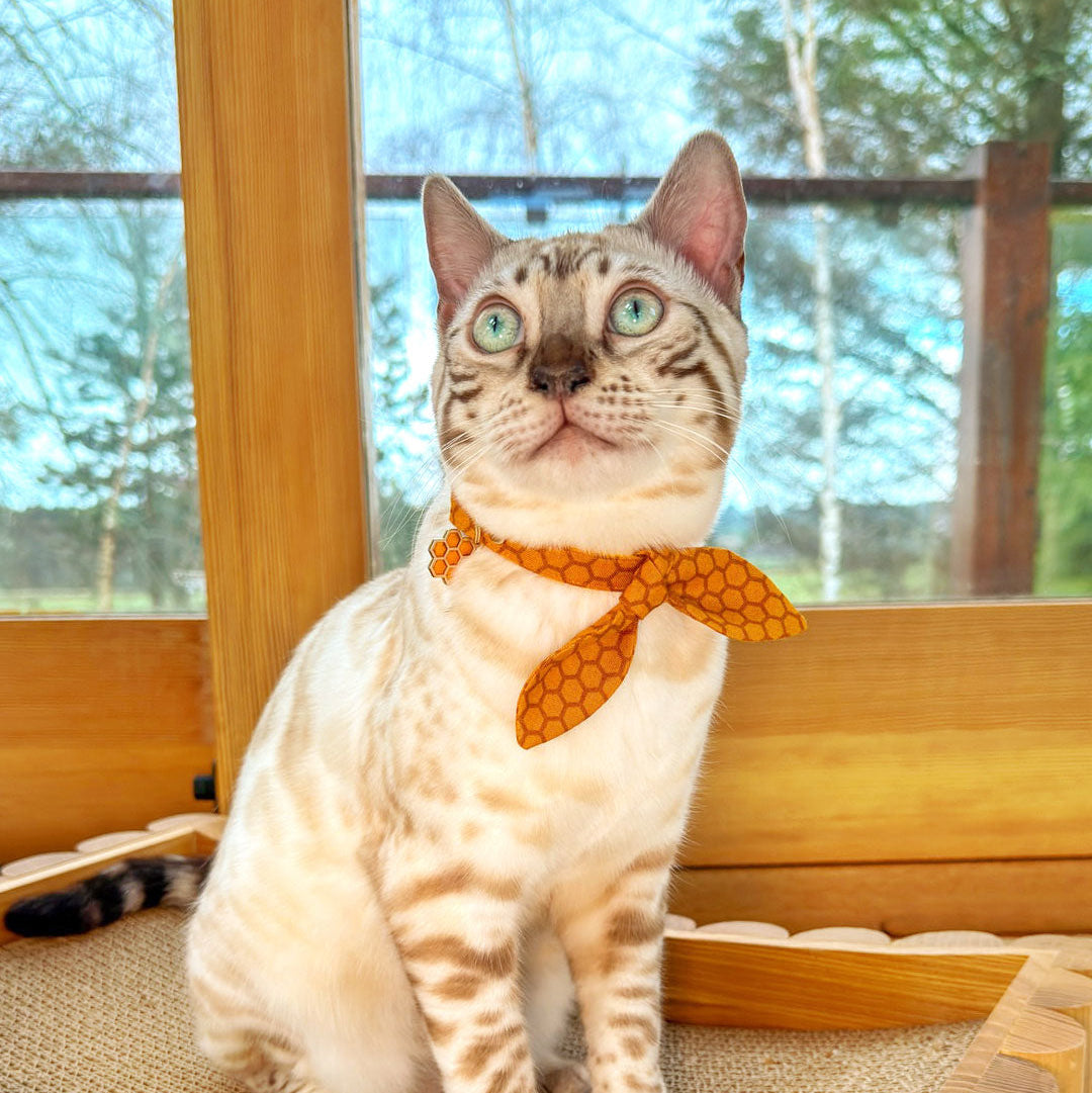 Pet Collar Charms - "Nature & Animals" - For Cat Collars & Small Dog Collars