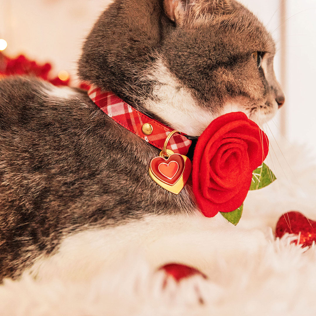 Pet Collar Charms - "Holiday & Seasonal" - For Cat Collars & Small Dog Collars