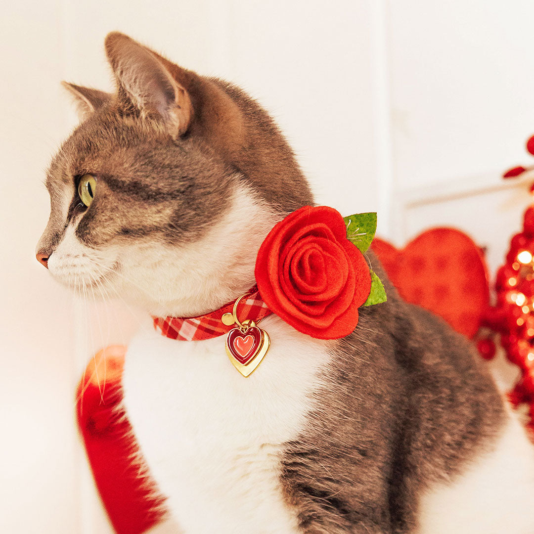 Pet Flower Corsages (15 Felt Colors) - Sold Individually - For Cat Collar + Small Dog Collar / Wedding Pet / Standard or Mini Size Option