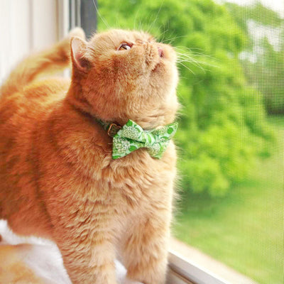 Cat Collar - "Hydrangea Hill" - Botanical Green Cat Collar / Breakaway Buckle or Non-Breakaway / Cat, Kitten + Small Dog Sizes