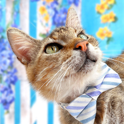 Bow Tie Cat Collar Set - "Indigo Sky" - Striped Cat Collar w/ Matching Bowtie / Spring, Easter, Derby, Nautical, Wedding / Cat + Small Dog