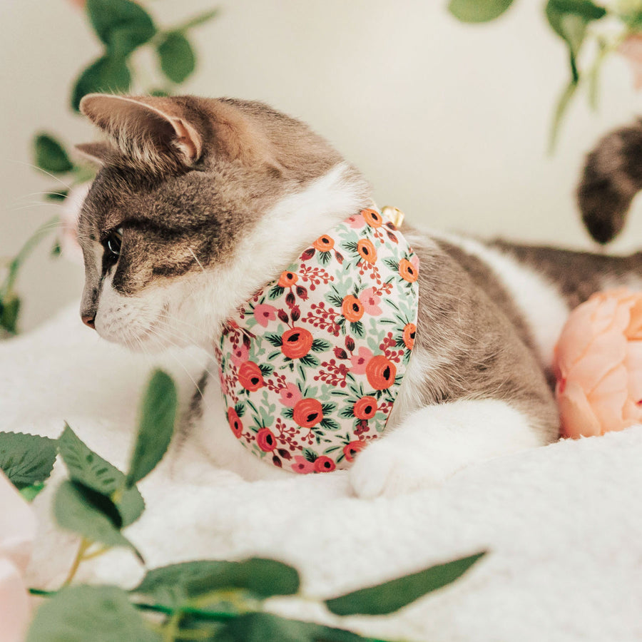Pet Bandana - "Juliet" - Rifle Paper Co® Blush Coral Pink Floral Bandana for Cat + Small Dog / Slide-on Bandana / Over-the-Collar (One Size)