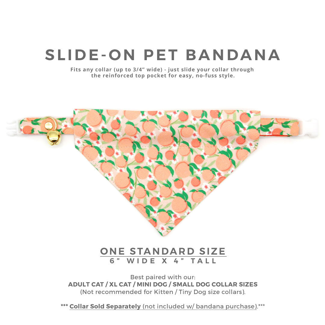 Pet Bandana - "Just Peachy" - Peach Bandana for Cat + Small Dog / Peaches Slide-on Bandana / Over-the-Collar (One Size)
