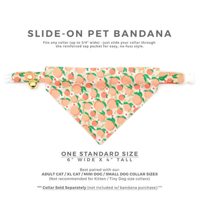 Pet Bandana - "Just Peachy" - Peach Bandana for Cat + Small Dog / Peaches Slide-on Bandana / Over-the-Collar (One Size)