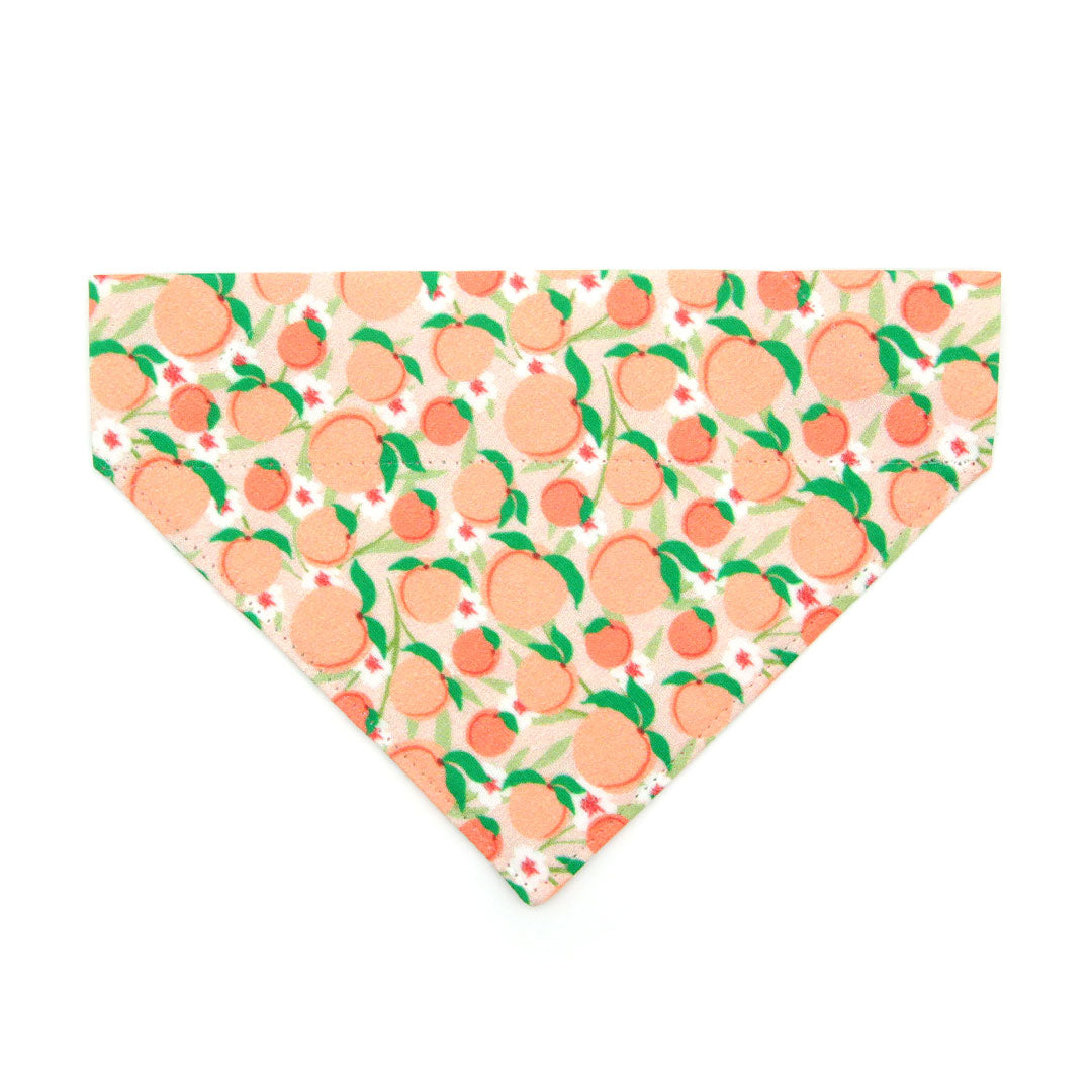 Pet Bandana - "Just Peachy" - Peach Bandana for Cat + Small Dog / Peaches Slide-on Bandana / Over-the-Collar (One Size)