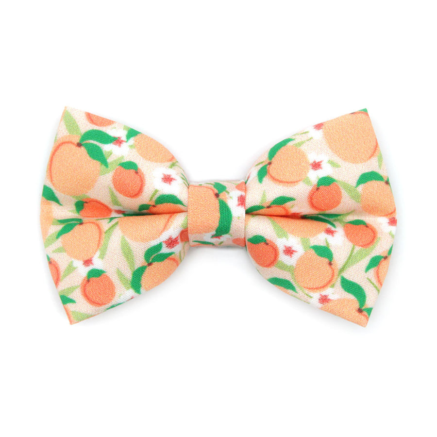 Pet Bow Tie - "Just Peachy" - Peach Cat Bow Tie / Spring + Summer / For Cats + Small Dogs (One Size)