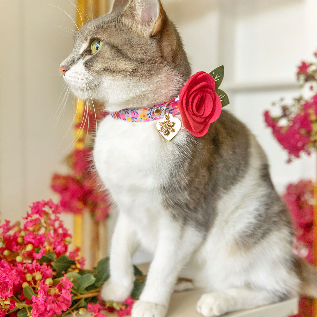 Adjustable Rhinestone Flower Pet Collar With Bell & Buckle - For Cats, Kittens, Puppies, Small Dogs