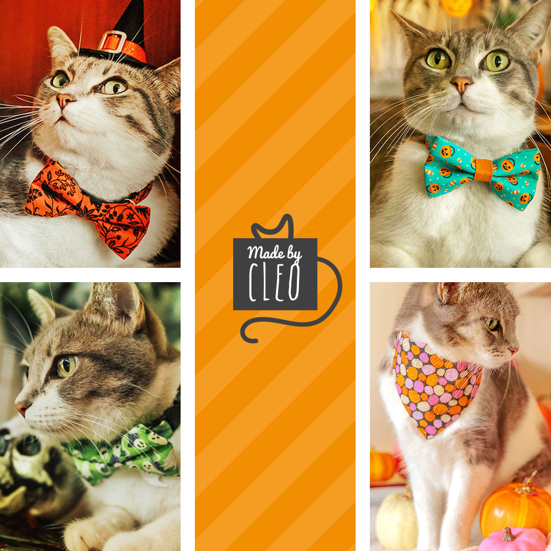 Halloween Cat Collar - "Trick or Treat" - Candy Corn Cat Collar - Breakaway Buckle or Non-Breakaway / Cat, Kitten + Small Dog Sizes