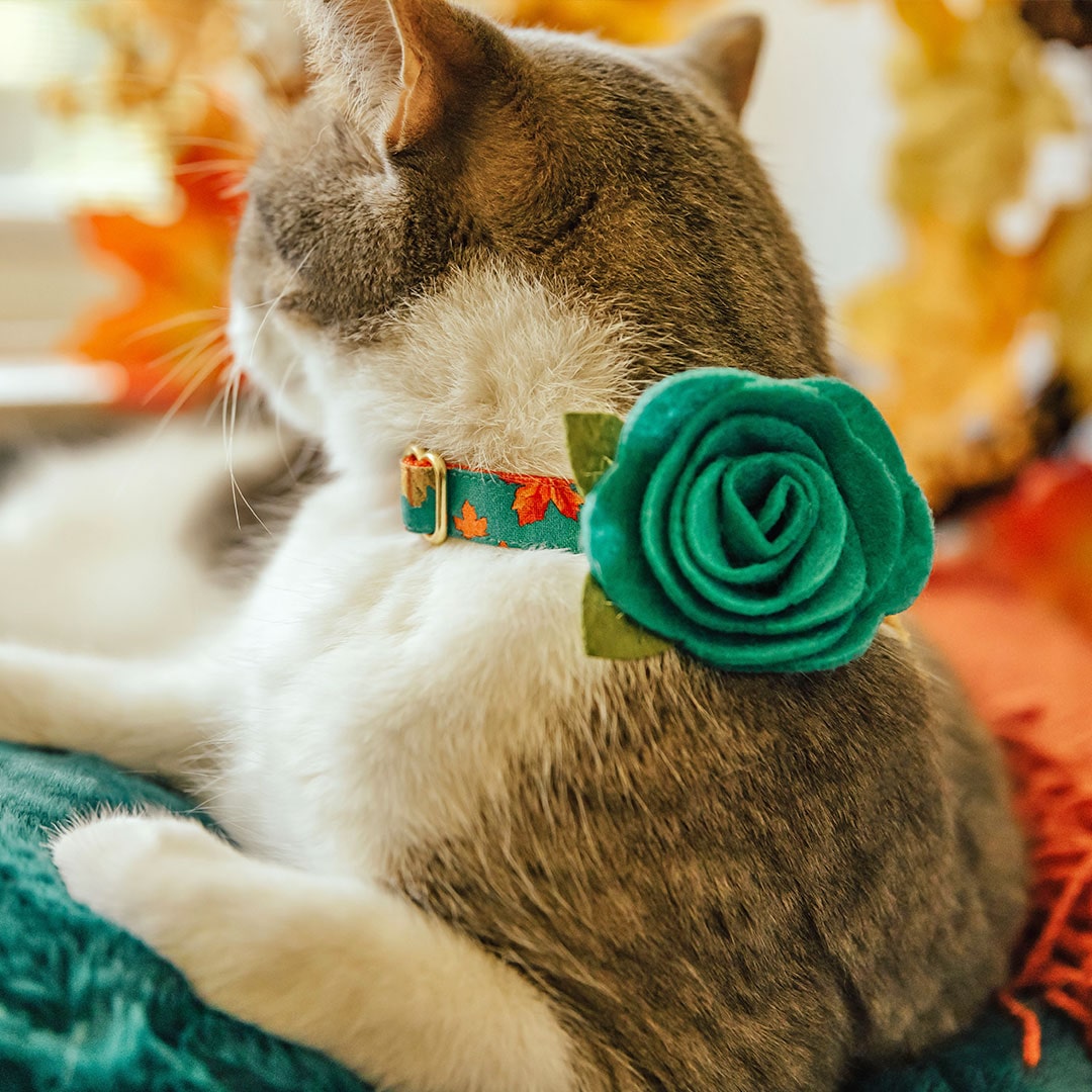 Pet Flower Corsages (15 Felt Colors) - Sold Individually - For Cat Collar + Small Dog Collar / Wedding Pet / Standard or Mini Size Option