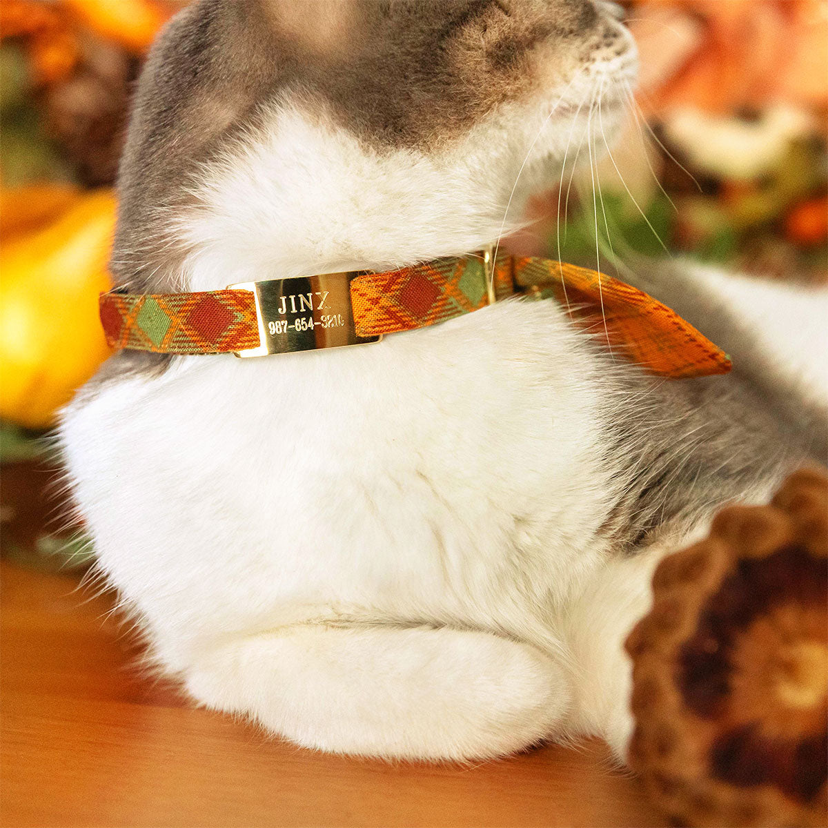 Engraved Pet ID Tags