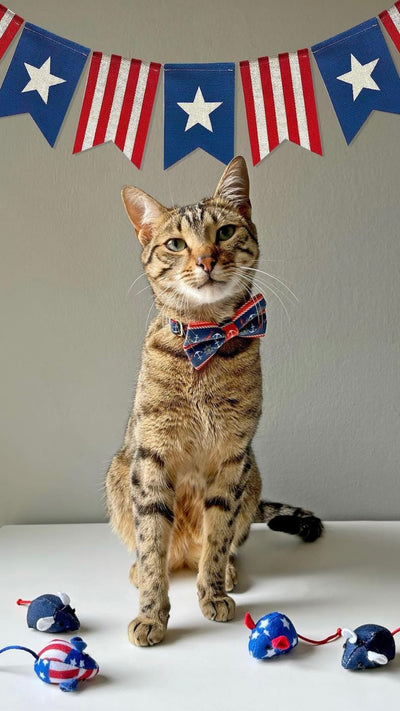 Bow Tie Cat Collar Set - "Nautical Navy" - Blue Anchor & Lobster Cat Collar w/ Matching Bowtie / Cat, Kitten, Small Dog Sizes