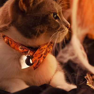 Pet Collar Charms - "Halloween & Gothic" - For Cat Collars & Small Dog Collars