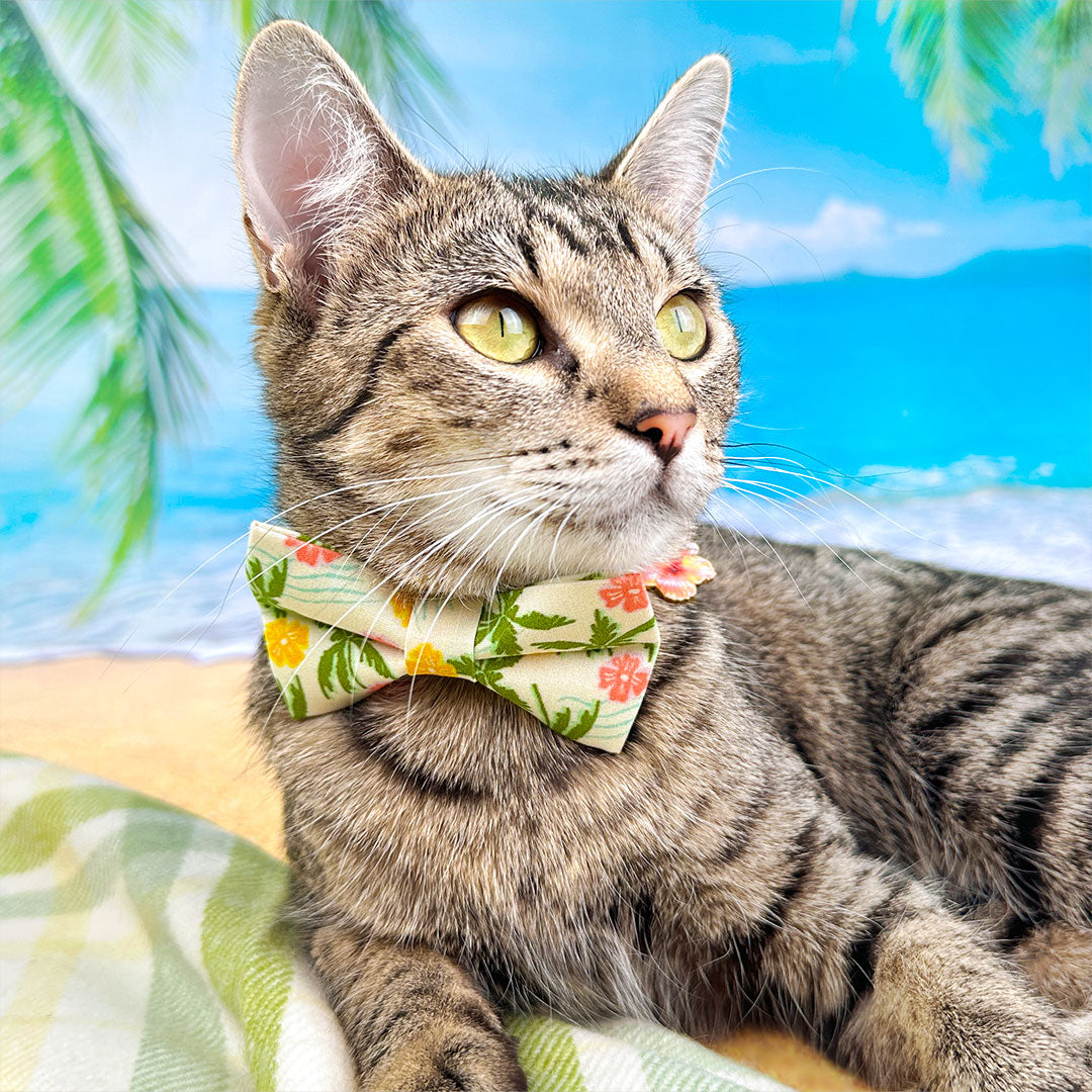 Tropical Cat Collar - "Palm Paradise" - Hawaiian Cat Collar / Summer, Beach, Tiki / Breakaway Buckle or Non-Breakaway / Cat, Kitten + Small Dog Sizes
