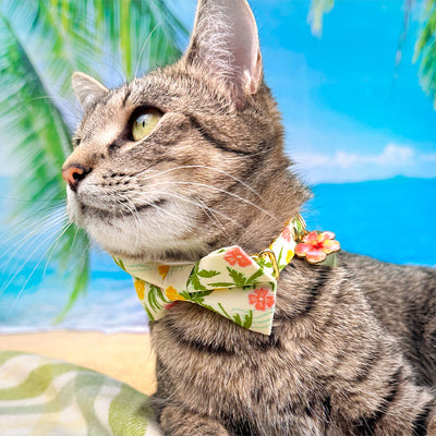 Tropical Cat Collar - "Palm Paradise" - Hawaiian Cat Collar / Summer, Beach, Tiki / Breakaway Buckle or Non-Breakaway / Cat, Kitten + Small Dog Sizes