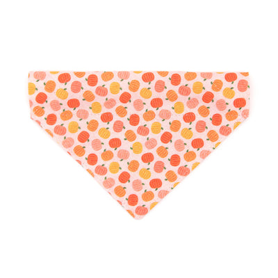 Fall Pet Bandana - "Peachy Pumpkins" - Peach & Orange Pumpkin Bandana for Cat + Small Dog / Thanksgiving / Slide-on Bandana / Over-the-Collar (One Size)