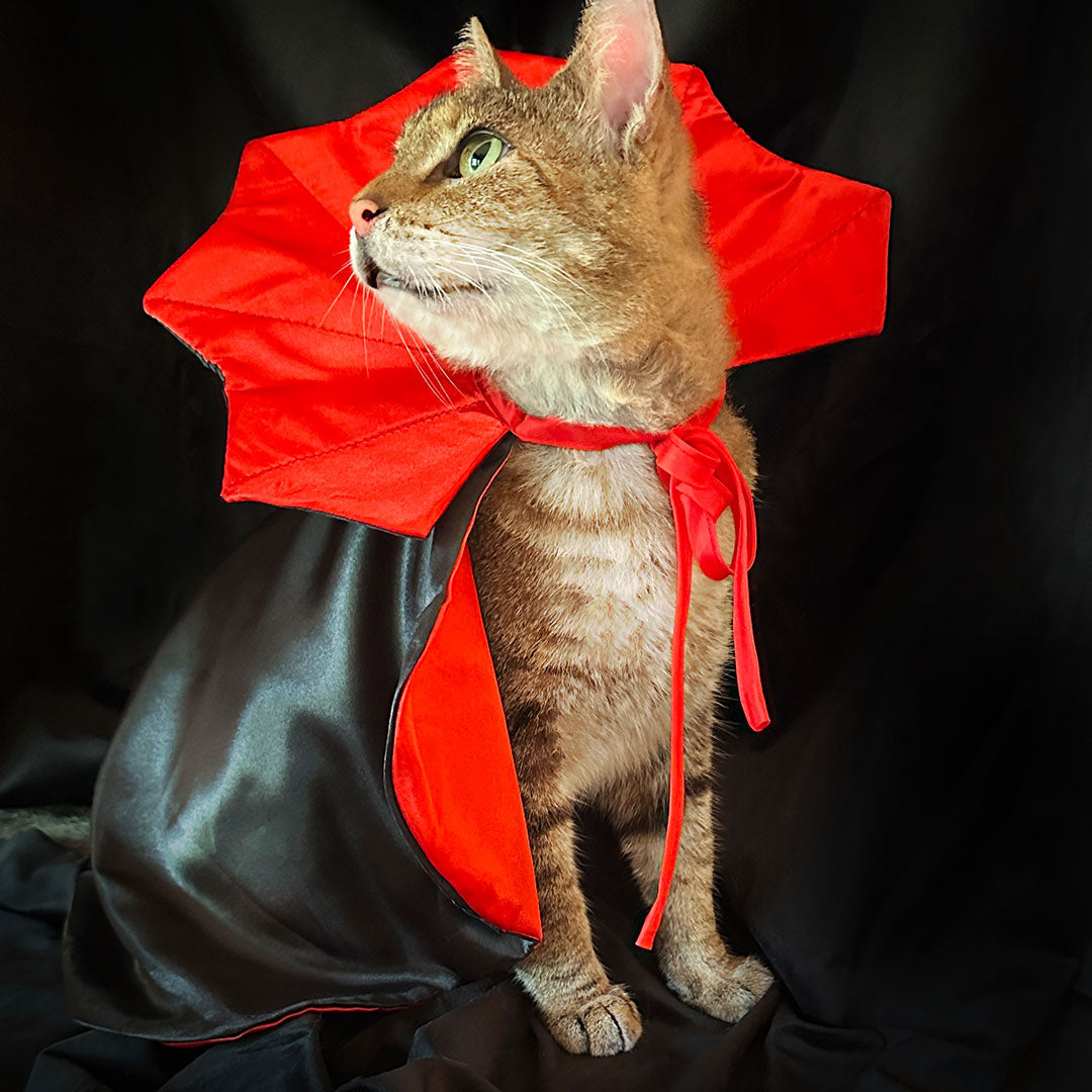 Pet Dracula Costume for Cat + Small Dog / Halloween Photo Prop for Pet / Cat Halloween Costume / Red & Black Satin Pet Vampire Cloak Costume