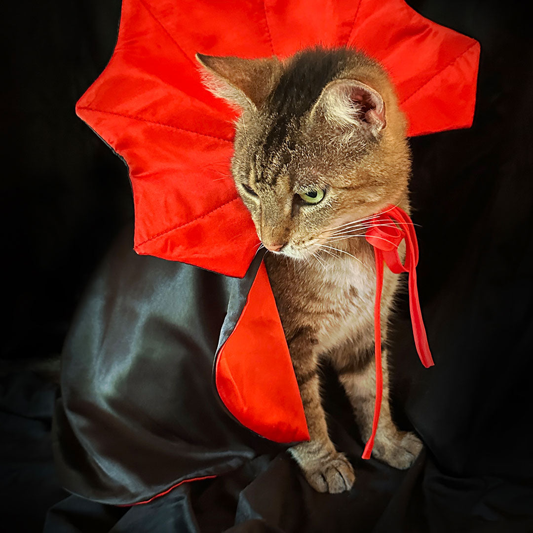 Pet Dracula Costume for Cat + Small Dog / Halloween Photo Prop for Pet / Cat Halloween Costume / Red & Black Satin Pet Vampire Cloak Costume