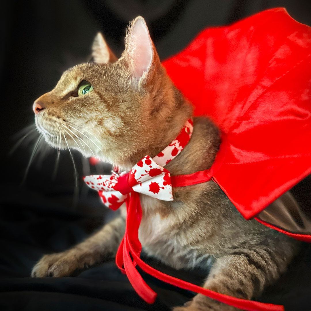 Pet Dracula Costume for Cat + Small Dog / Halloween Photo Prop for Pet / Cat Halloween Costume / Red & Black Satin Pet Vampire Cloak Costume