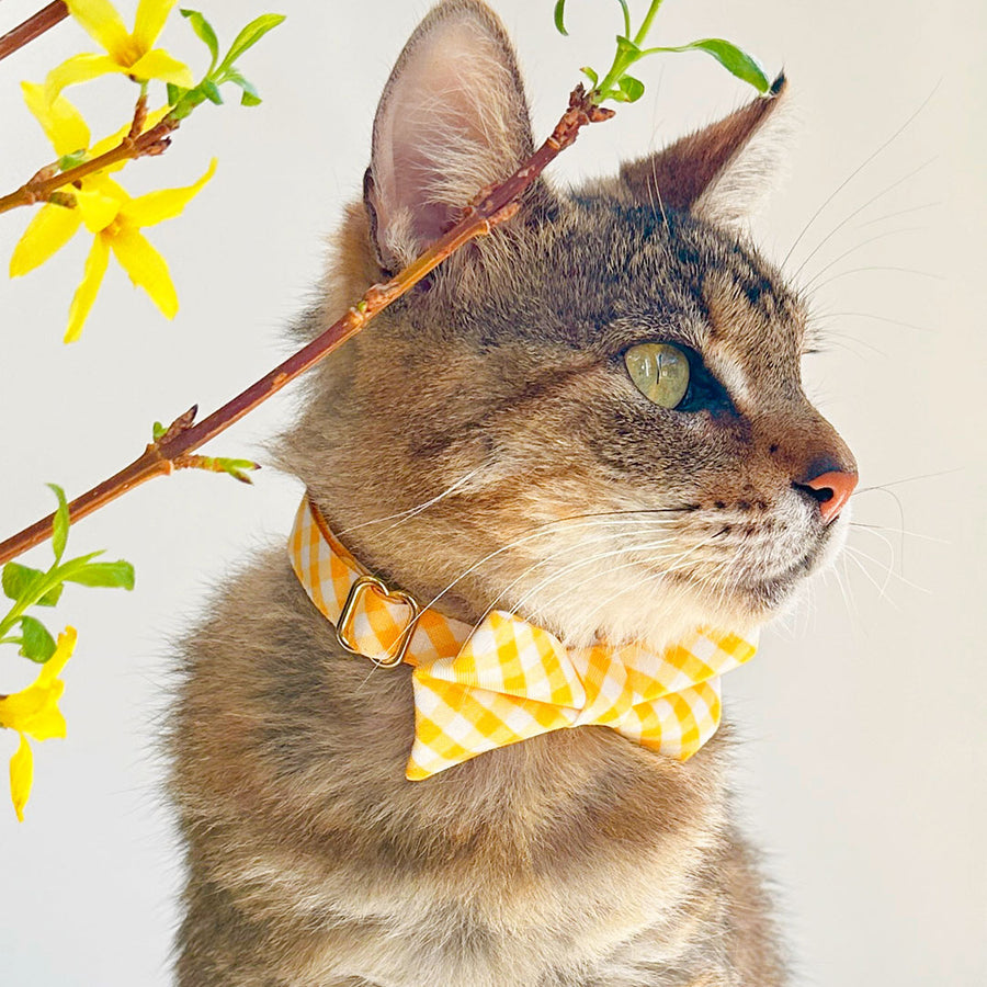 Bow Tie Cat Collar Set - "Picnic" - Gingham Plaid Yellow Cat Collar w/ Matching Bowtie / Spring, Easter, Summer, Wedding / Cat, Kitten, Small Dog Sizes