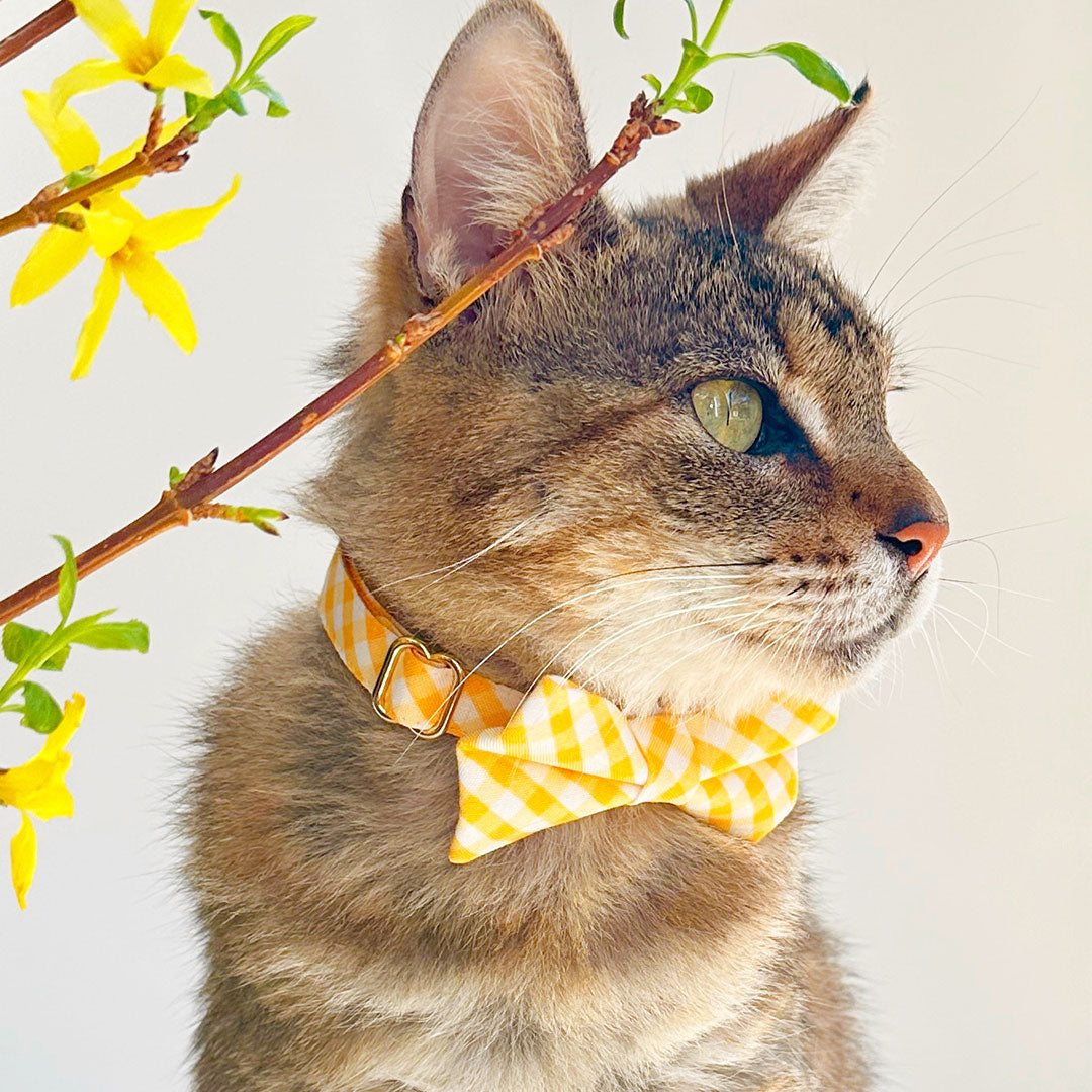 Cat Collar - "Picnic" - Gingham Plaid Yellow Cat Collar / Spring, Easter, Summer / Breakaway Buckle or Non-Breakaway / Cat, Kitten + Small Dog Sizes