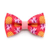 Tropical Cat Bow Tie - "Pineapple Berry" - Hawaiian Red Cat Collar Bow / Kitten Bow Tie / Small Dog Bowtie / Summer / Removable (One Size)