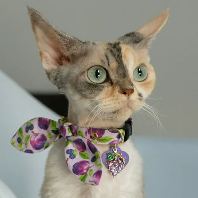 Pet Collar Charms - "Food, Fruits & Sweets" - For Cat Collars & Small Dog Collars