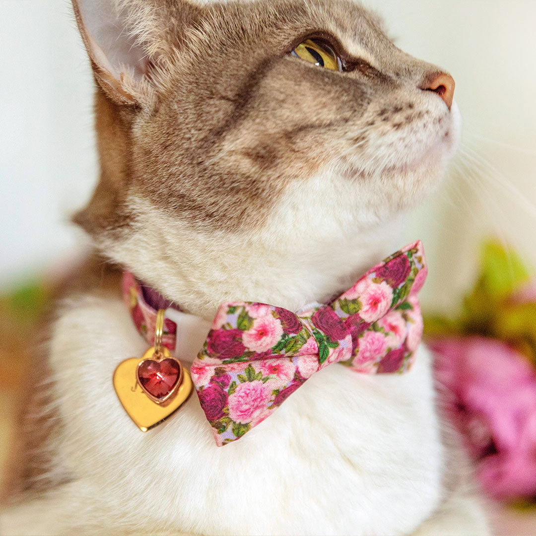 Pet Collar Charms - "Jeweled & Classic" - For Cat Collars & Small Dog Collars