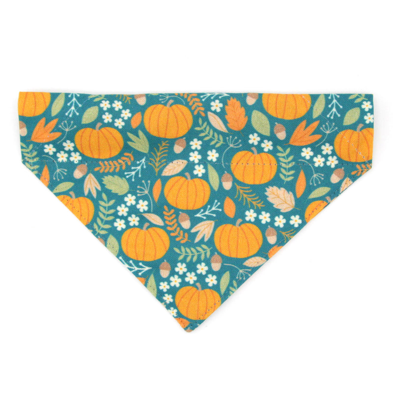 Pet Bandana - "Pumpkin Patch - Teal" - Fall Harvest Bandana for Cat Collar or Small Dog Collar / Slide-on Bandana / Over-the-Collar (One Size)