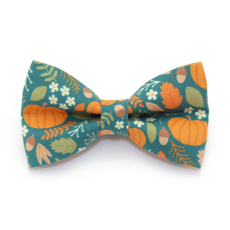 Pet Bow Tie - "Pumpkin Patch - Teal" - Fall Harvest Bowtie / Autumn + Thanksgiving / For Cats + Small Dogs / Removable (One Size)