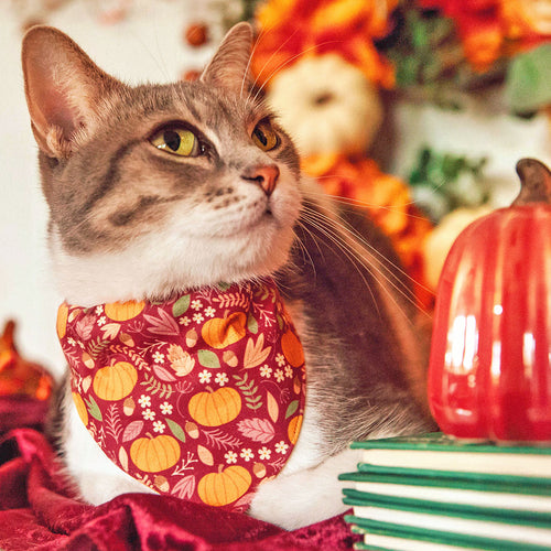 Pet Bandana - "Pumpkin Patch - Cranberry" - Burgundy Autumn Harvest Bandana for Cat + Small Dog / Slide-on Bandana / Over-the-Collar (One Size)