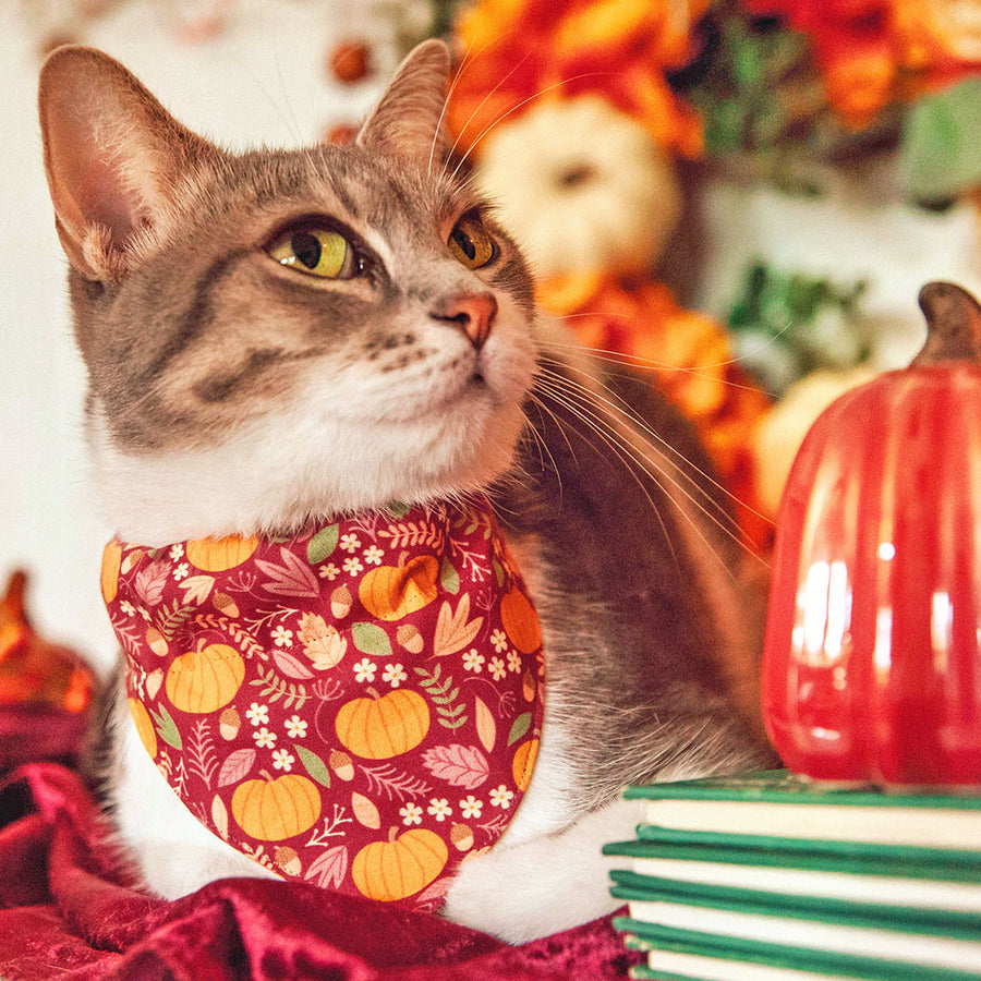 Pet Bandana - "Pumpkin Patch - Cranberry" - Burgundy Autumn Harvest Bandana for Cat + Small Dog / Slide-on Bandana / Over-the-Collar (One Size)