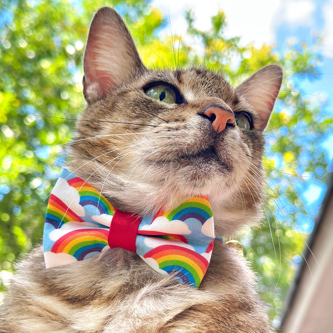 Cat Collar - "Rainbow Magic" - 80s Retro / LGBTQ Pride Cat Collar - Breakaway Buckle or Non-Breakaway / Cat, Kitten + Small Dog Sizes