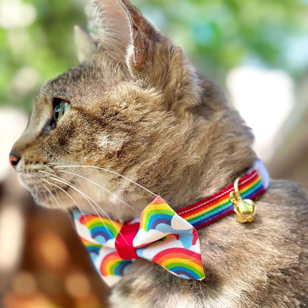 Bow Tie Cat Collar Set