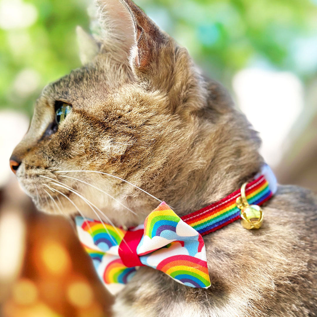 Paws for Pride 🌈 25% OFF