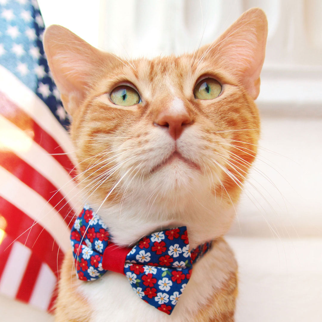 Cat Collar - "Red White & Bloom" - Blue Red Floral Cat Collar / 4th of July, Patriotic, Summer / Breakaway Buckle or Non-Breakaway / Cat, Kitten + Small Dog Sizes