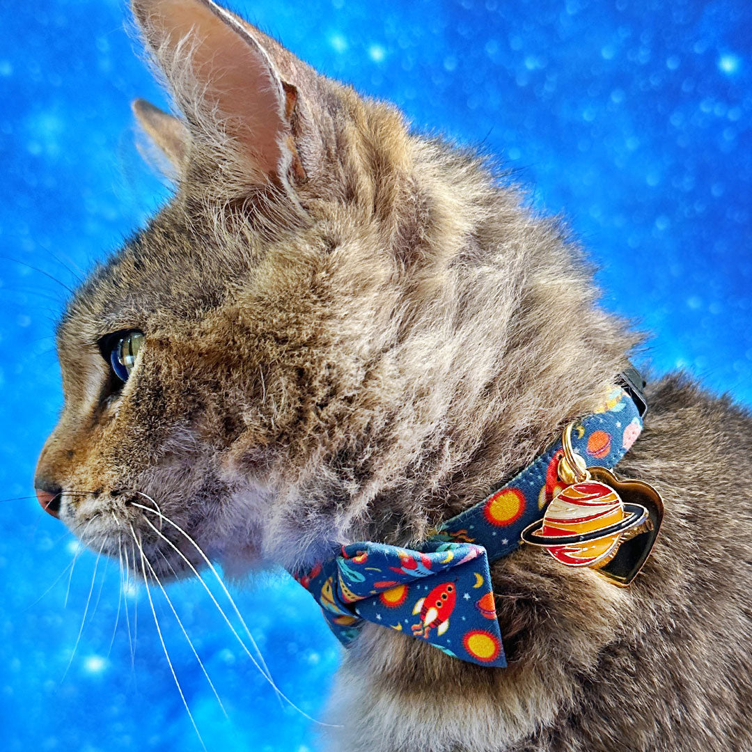 Pet Collar Charms - "Food, Fun & Novelty" - For Cat Collars & Small Dog Collars