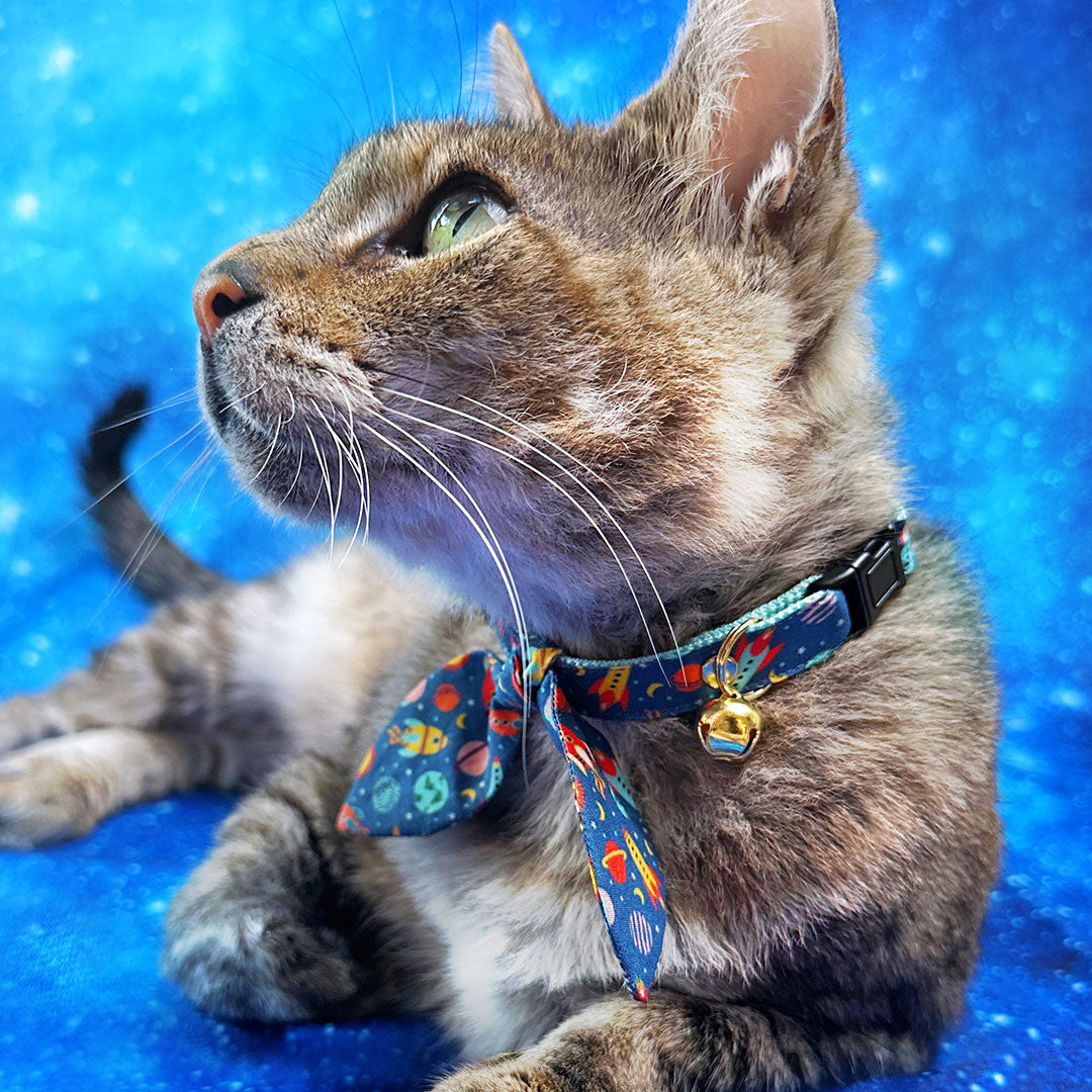 Cat Collar - "Retro Rockets" - Space Themed Cat Collar / Sci-Fi, Outer Space, Space Ship, Galaxy, Planets, Science, HG Wells, NASA  / Breakaway Buckle or Non-Breakaway / Cat, Kitten + Small Dog Sizes