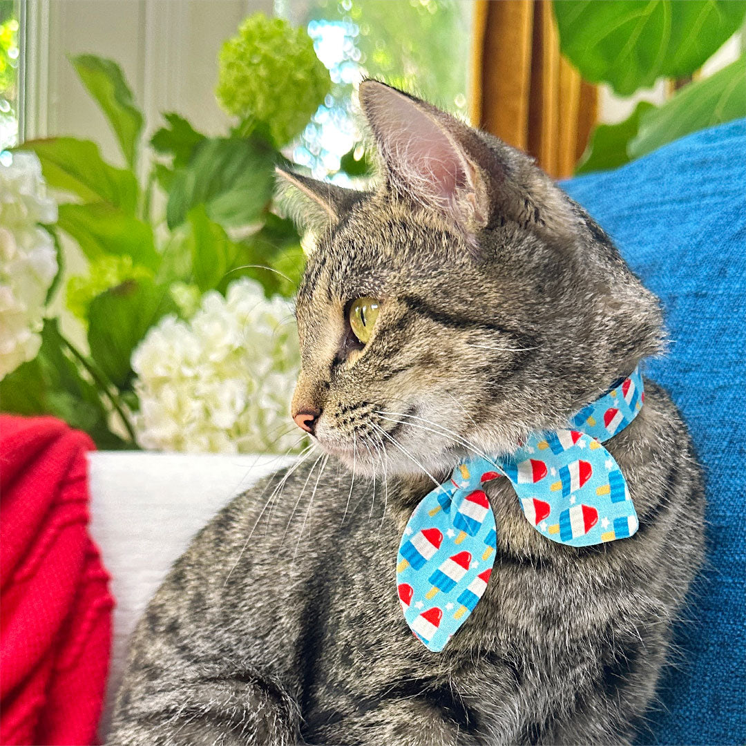 Cat Collar & Bunny Ear Bow Set - "Rocket Pop" - Red White Blue Popsicle Cat Collar w/ Matching Bunny Bow Tie / USA, 4th of July, Summer, Patriotic / Tie-On Scarf / Cat, Kitten + Small Dog Sizes