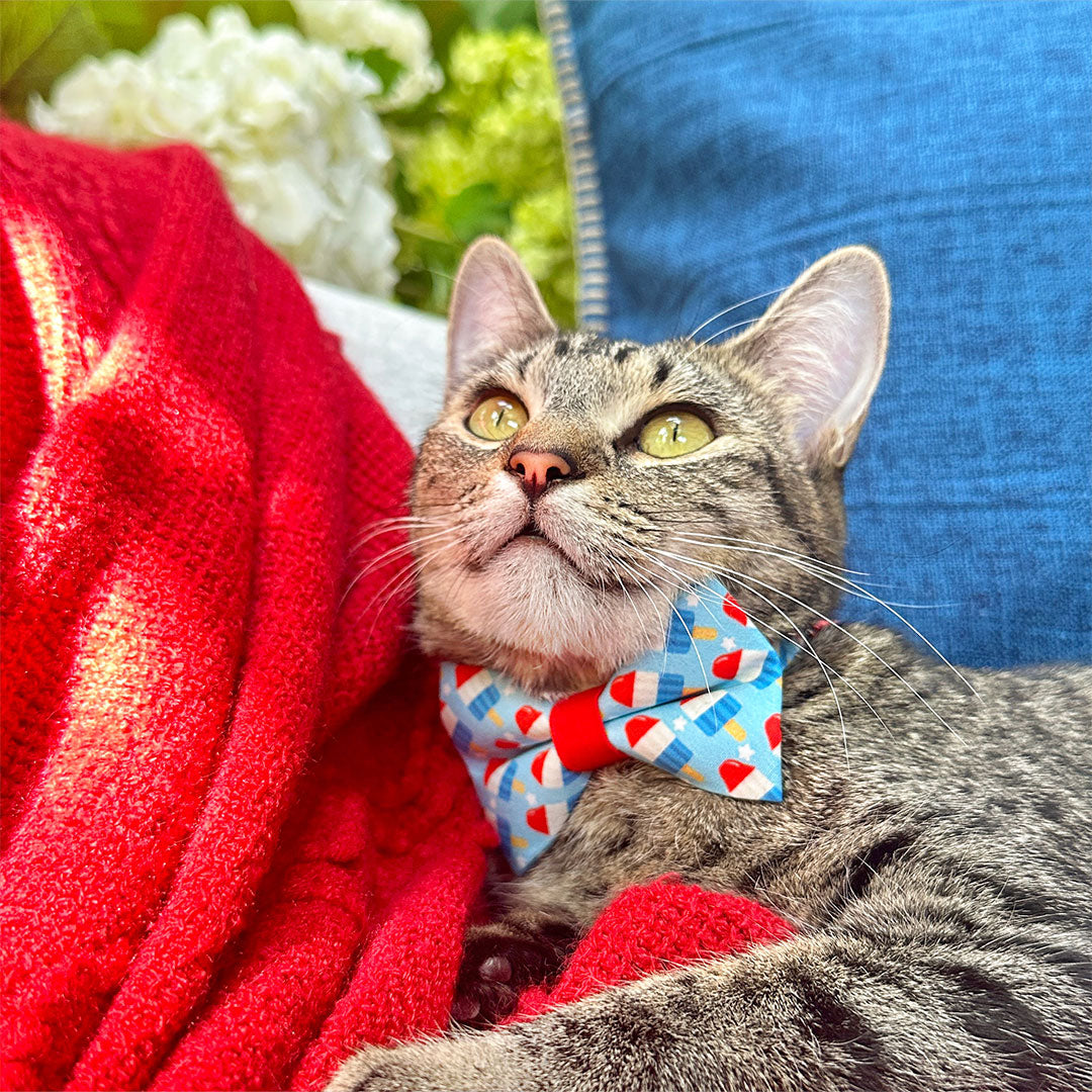 Summer Cat Bow Tie - "Rocket Pop" - Red White Blue Popsicle Bow Tie for Cat Collar / USA, Patriotic, 4th of July / Cat, Kitten + Small Dog Bowtie