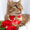 Cat Collar - "Roses" - Red Rose Cat Collar / Valentine's Day, Wedding, Floral / Breakaway Buckle or Non-Breakaway / Cat, Kitten + Small Dog Sizes