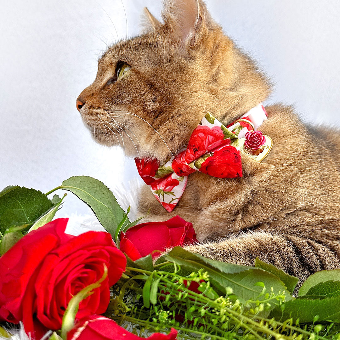 Cat Collar - "Roses" - Red Rose Cat Collar / Valentine's Day, Wedding, Floral / Breakaway Buckle or Non-Breakaway / Cat, Kitten + Small Dog Sizes
