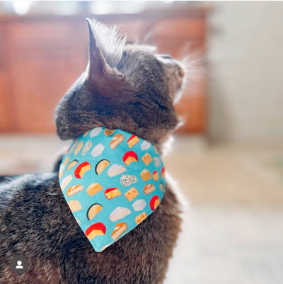 Cheese Cat Bandana - "Say Cheese" - Foodie Bandana for Cat Collar or Small Dog Collar / Slide-on Bandana / Over-the-Collar (One Size)