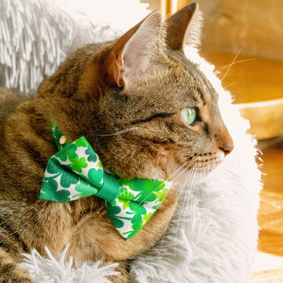 Bow Tie Cat Collar Set - "Shamrock Spirit" - St. Patrick's Day Cat Collar w/ Matching Bowtie / Irish, Clover / Cat, Kitten, Small Dog Sizes