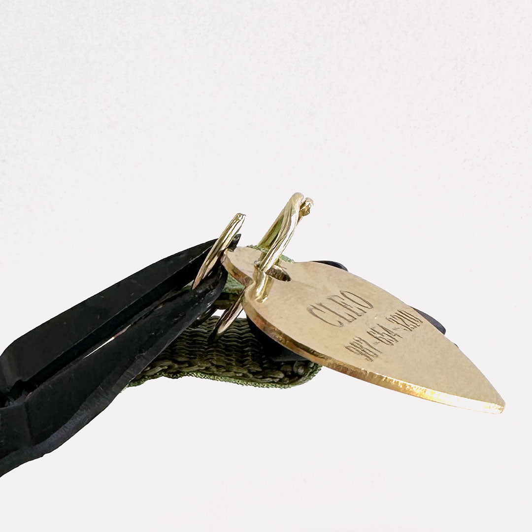 Split Ring Pliers - For Easy Install, Removal & Transfer of Pet ID Tags, Bells & Charms (Storage Box Included)