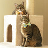 Bow Tie Cat Collar Set - "Spring Chicks - Blue" - Easter Light Blue Cat Collar w/ Matching Bowtie / It's A Boy / Cat, Kitten, Small Dog Sizes